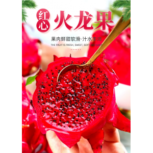 海南金都一号红心火龙果5斤整箱大果