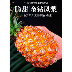 海南金钻凤梨新鲜水果
